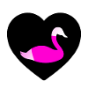 swan