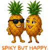 Sun Pineapple Duo