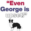  Even George Is Upset, Memorial Arts center, US