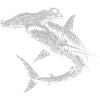 Hammerhead Shark Swirl Silhouette Duo