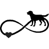 Labrador infinity sign