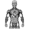 HAPPY ANATOMY - black & white
