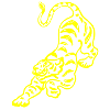 Chinese tiger pattern