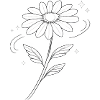 Daisy sketch in black and white