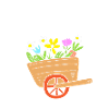 Compost Worms Gift