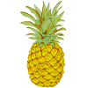 Ripe Pineapple Yellow Stylized Drawing