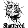 Shattered Silence