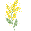Chère Maman Fleurs