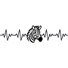Zebra ECG Heartbeat