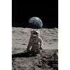 Lunar Explorer: Earthrise Above Moon