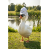 Spa Duck with Sunglasses