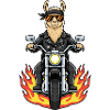 Flames moto Llama Biker Cool