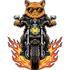 Cool Biker Cat Motorcycle Flames