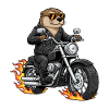 Cool Biker Otter Moto Flammes