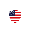 USA Delaware Shield Flag