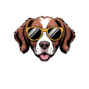 Brittany Spaniel Saying Brittany Spaniel Gift