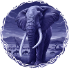 Éléphant nocturne dans la savane