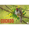 CUCKOO