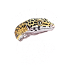 Leopard Gecko Life Is Better