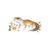 Diction du cœur de gecko léopard
