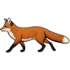 Fuchs