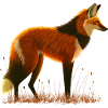 Mähnenwolf