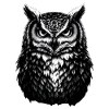 Mystical Owl Night Animal Wisdom Symbol