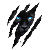 Black big cat with blue eyes