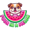 Four In A Melon Bulldog