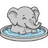 Elephant in the paddling pool