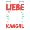 J’adore mon Kangal