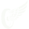 Tire Wings
