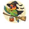 Mignonne Sorcière Perroquet Halloween