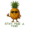 Stay Pine & Fine Pineapple