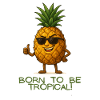 Tropical pineapple with style