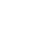 Ornamentkäfer Mandala