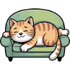 Sleeping cat on sofa