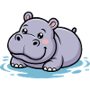 Cute hippo in a puddle