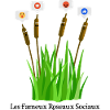 THE FAMOUS SOCIAL REEDS!
