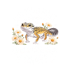 I like leopard geckos OKAY