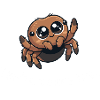 Cute Jumping Spider – You’re Scary Too