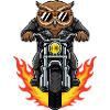 Cool Biker Owl Motorcycle Flames