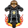 Cool Biker Sloth Moto Flammes