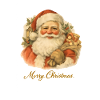 Santa Claus with teddy bear