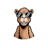 Camel Saying, Funny Camel Gift