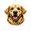Don't Stop Retrievin Golden