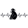 Monkey Chimpanzee ECG Heartbeat