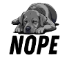 Gelber Goldlabrador. Nein.