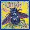Abeille charpentière