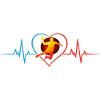 Handball Heartbeat – ECG Handball Player